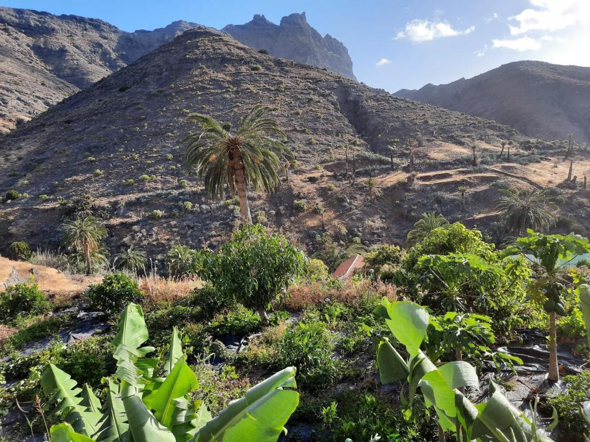 Casa Rural La Vega Alojera ภายนอก รูปภาพ