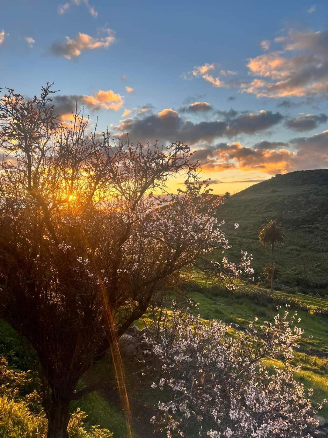 Casa Rural La Vega Alojera ภายนอก รูปภาพ